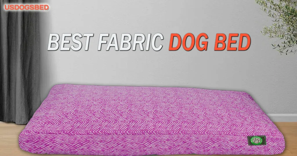Best fabric for dog bed