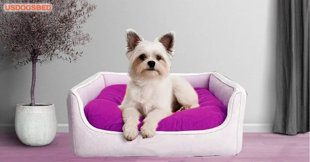 fancy dog beds for small dogs