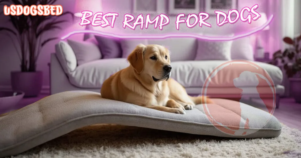 Bed Ramp For Small Elderly Dog
