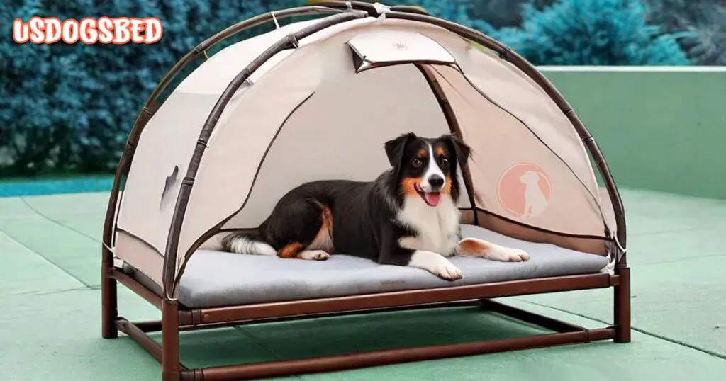 dog bed and canopy